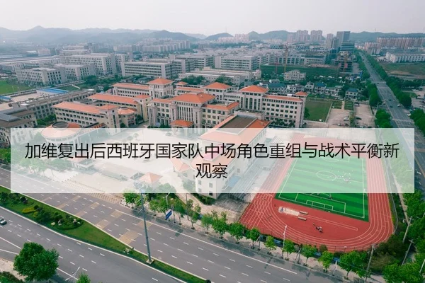 加维复出后西班牙国家队中场角色重组与战术平衡新观察