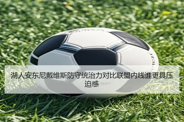 湖人安东尼戴维斯防守统治力对比联盟内线谁更具压迫感